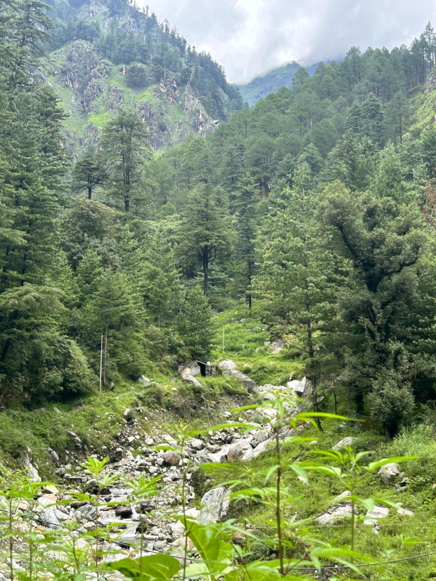 Formosa Hostel & Cafe Kasol Exterior photo